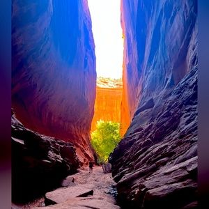 Humble & Kind 🌺 Joy & Peace